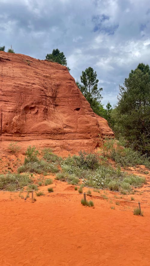 Foto profissional grátis de areia, árvore, Colorado