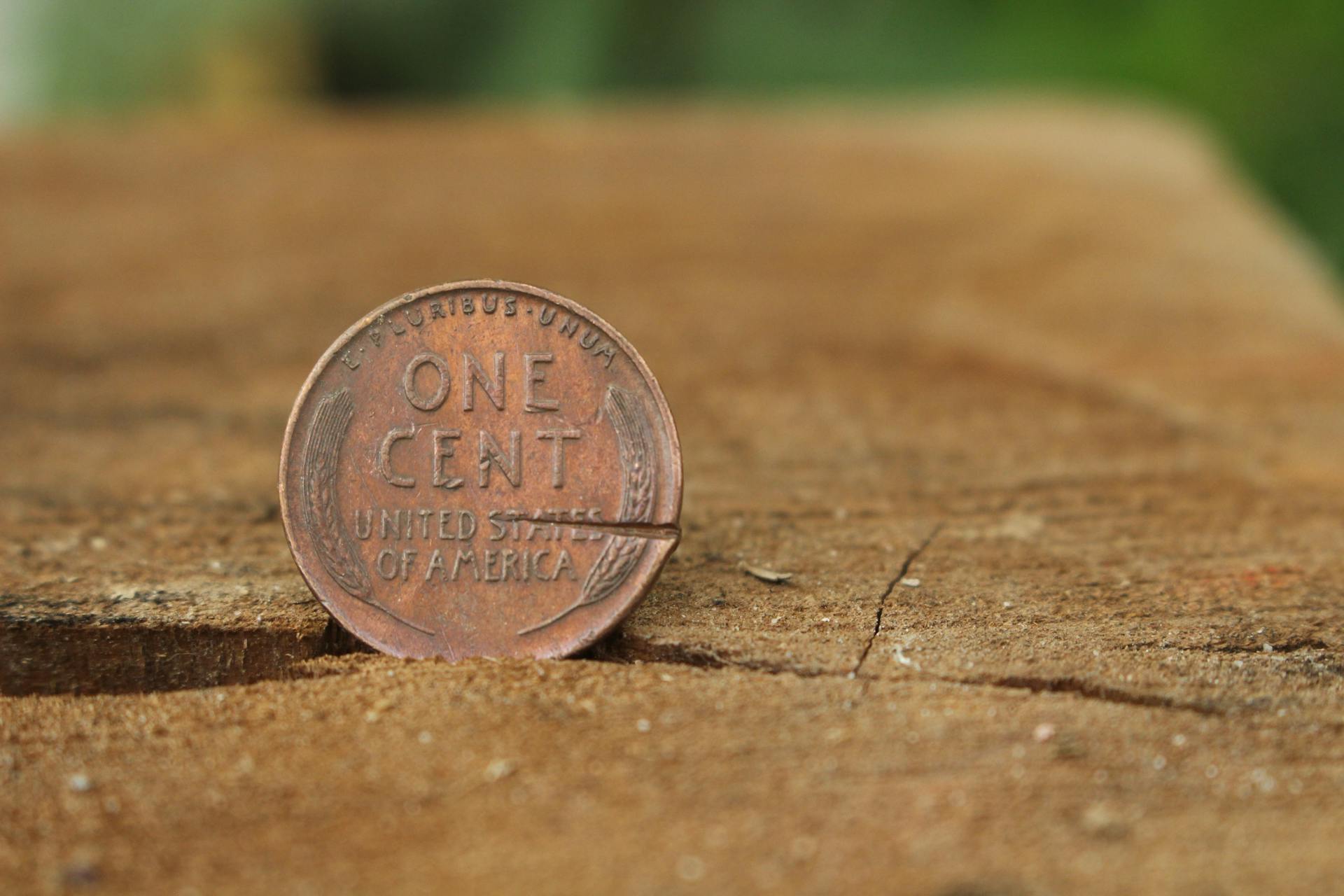 Detailed close-up of an old US penny on wood, showcasing its rustic texture.