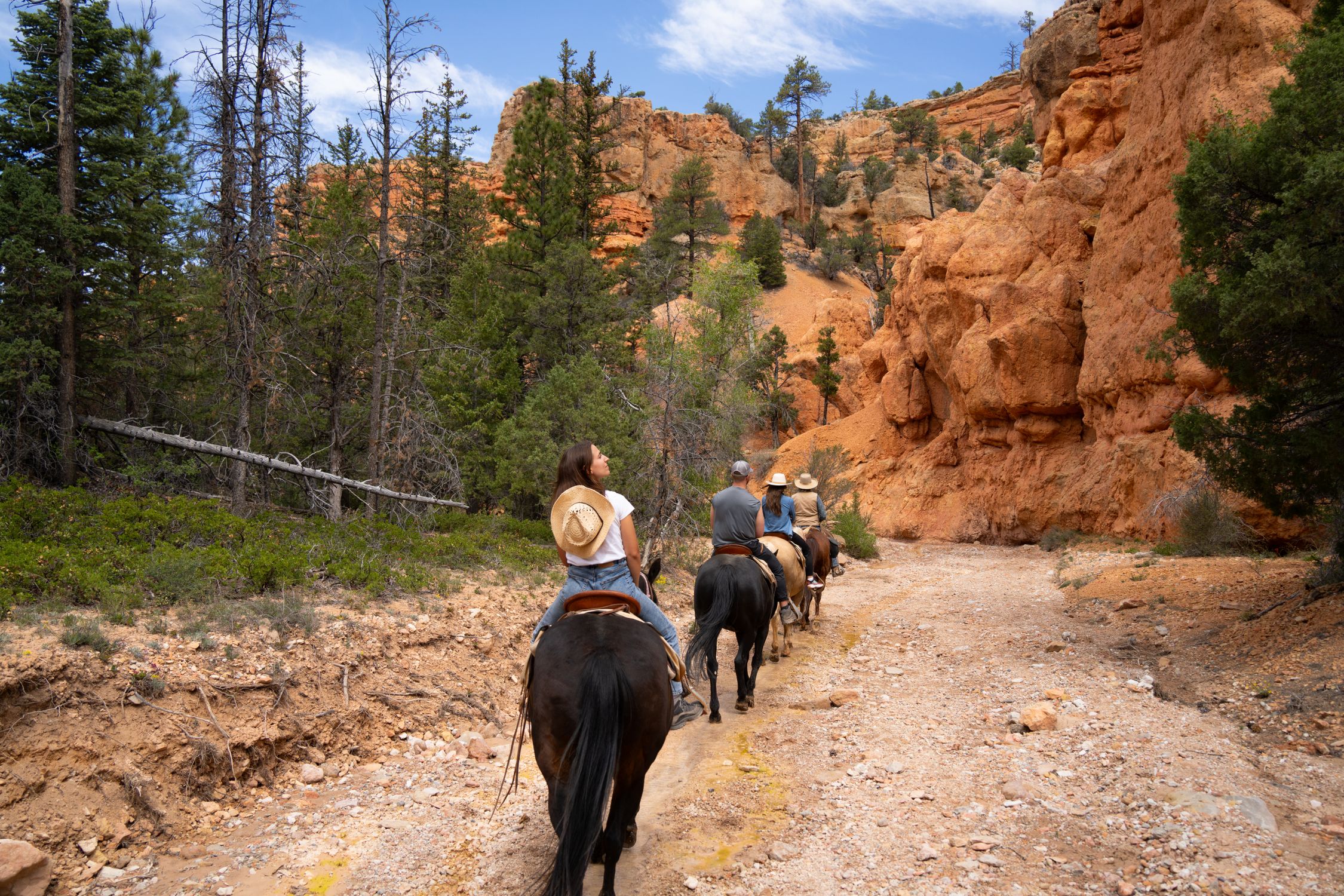 People riding horses down a dirt road in the desert · Free Stock Photo