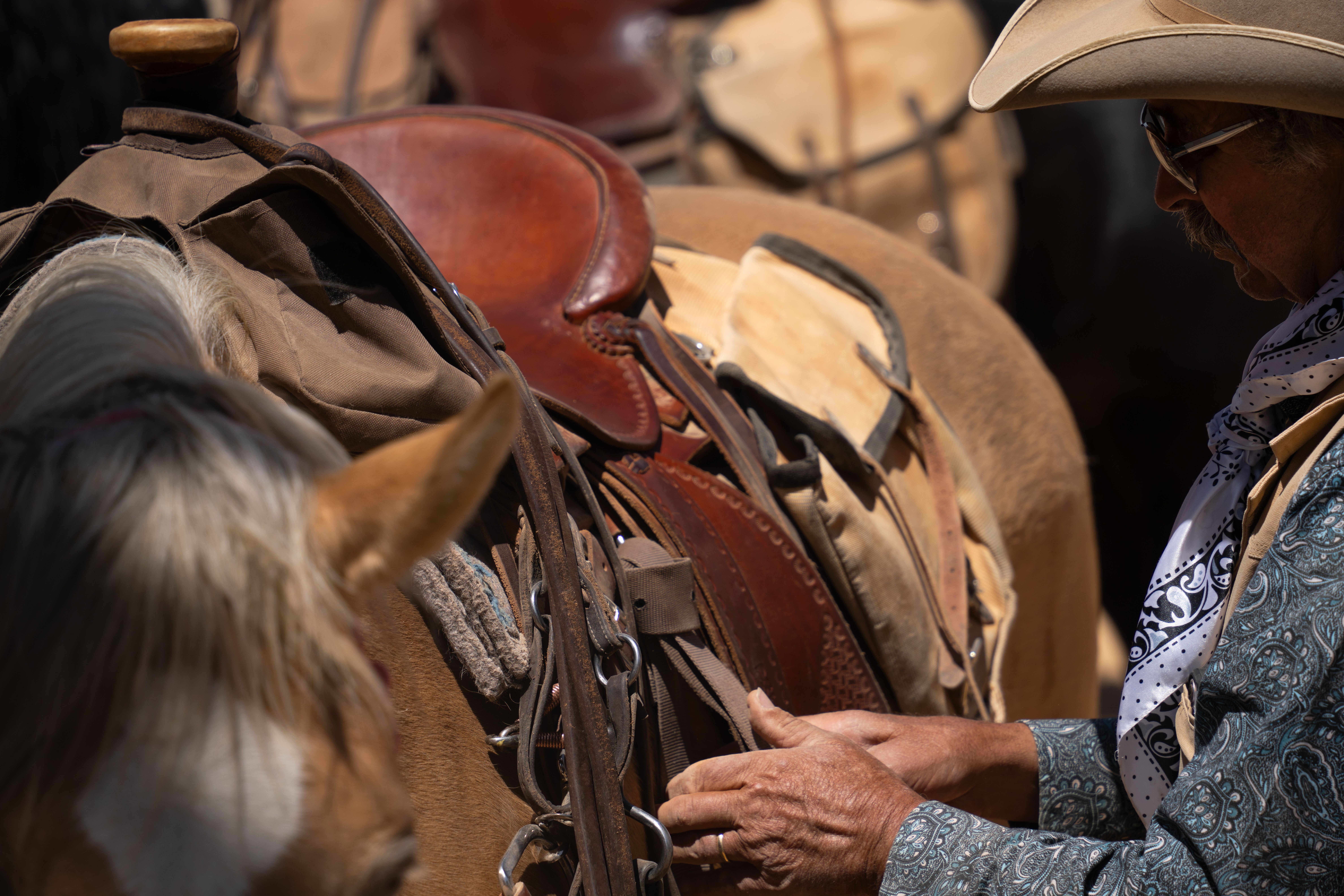 Casper Woman Apologizes After Cleaning The Wrong House - Cowboy State Daily — Photo by Alex Moliski on Pexels