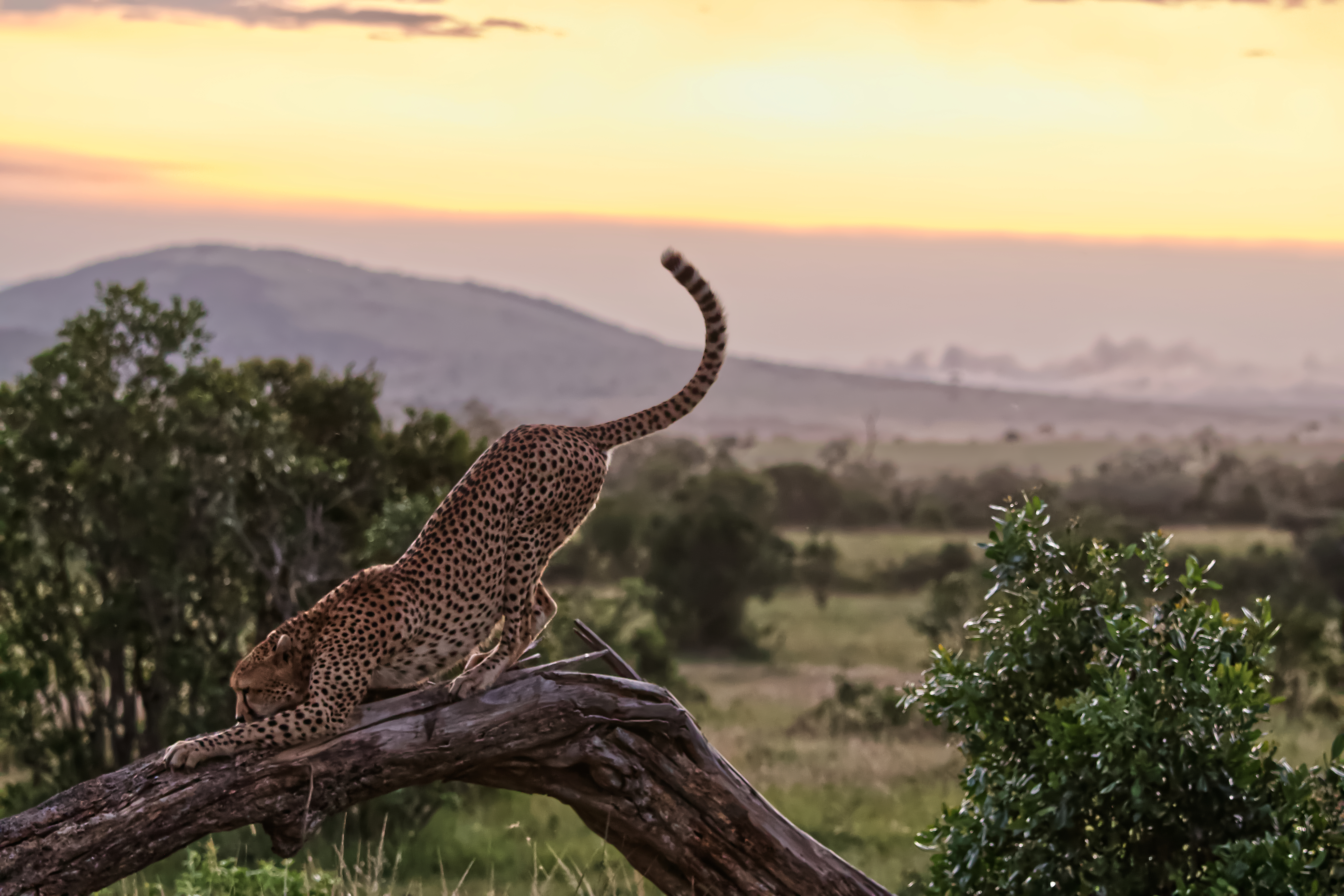 Guide complet des meilleures destinations à visiter en Afrique
