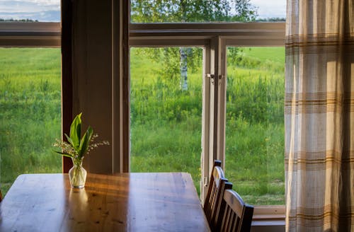 Kostenloses Stock Foto zu abend, atmosphärisch, blumenvase