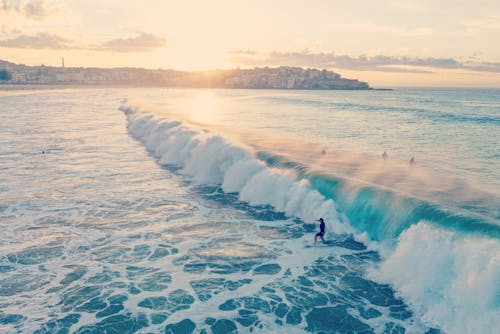 무료 파도에서 서핑하는 사람의 사진 스톡 사진