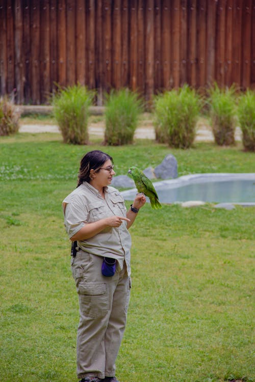 aves, hayvanat bahçesi hayvanı içeren Ücretsiz stok fotoğraf