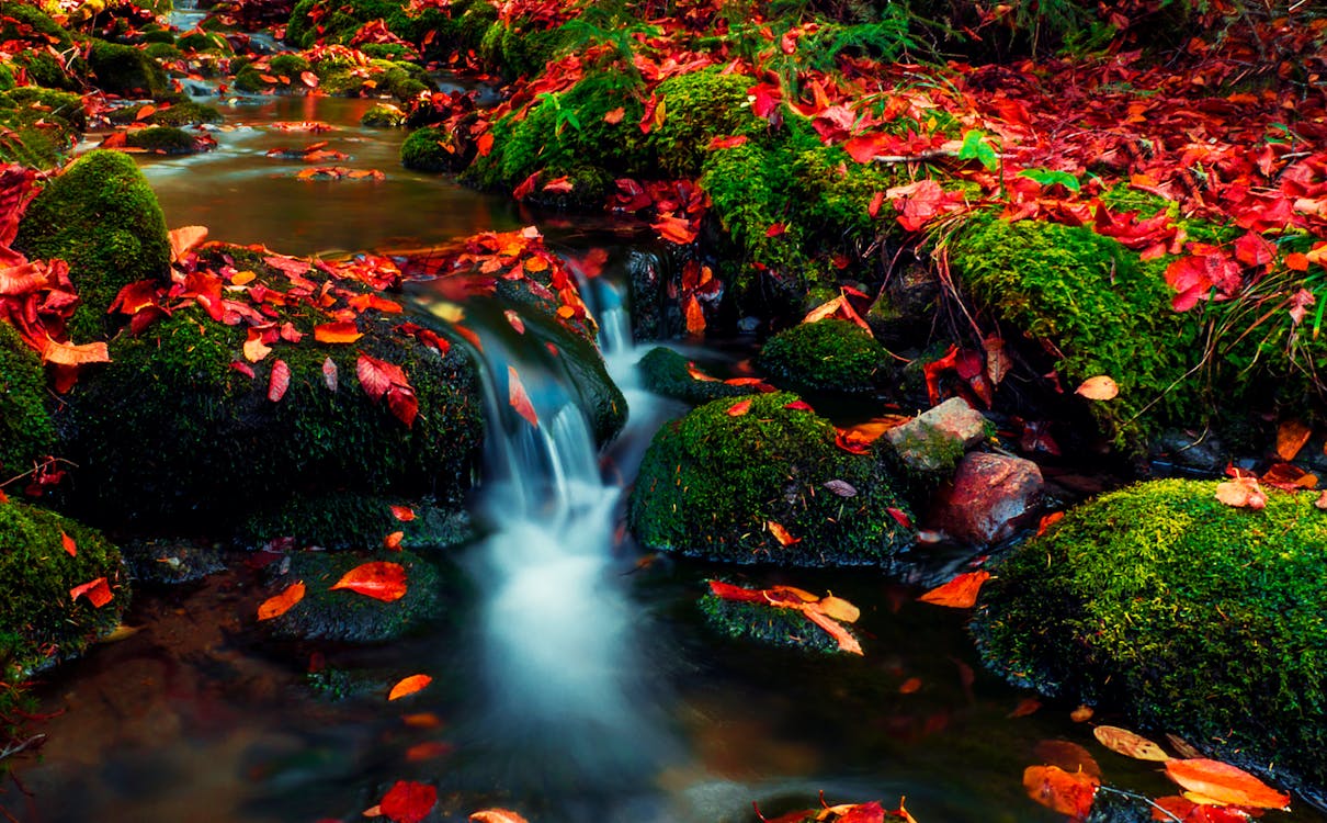 Long-exposure Photography of a Stream · Free Stock Photo