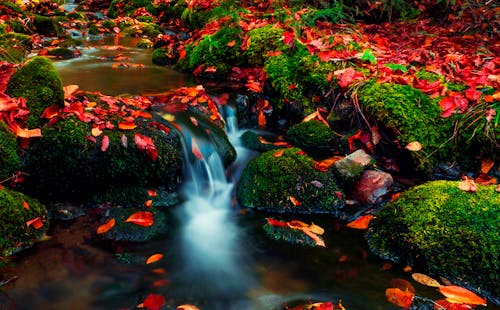 2025 Fall Foliage: Timing Your Trip For Peak Colors