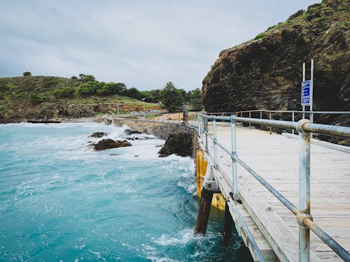 Photo of Bridge Near Ocean