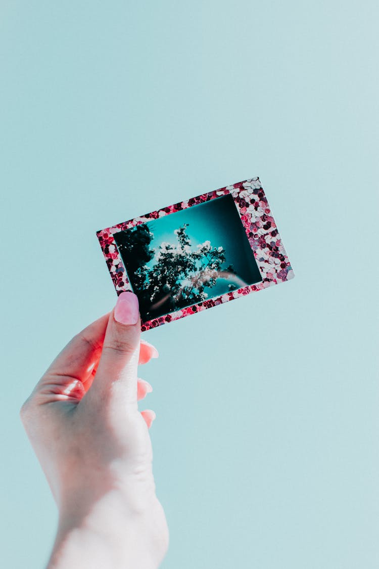 Photo Of Person Holding Picture