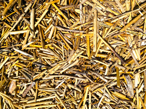 Free Dried Reeds Mosaic Stock Photo