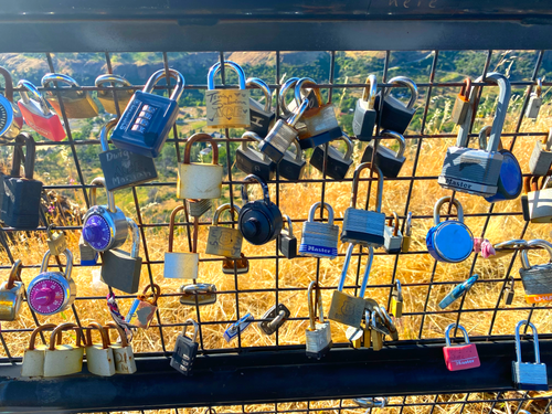 Free Locks Galore Glamour Stock Photo