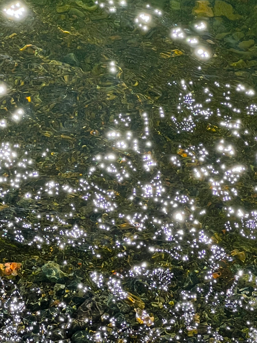 Free Starlight Firmament Atop Water Stock Photo