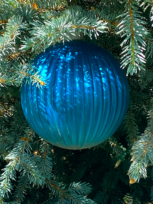 Free Forgotten Blue Ornament on Blue Spruce Stock Photo
