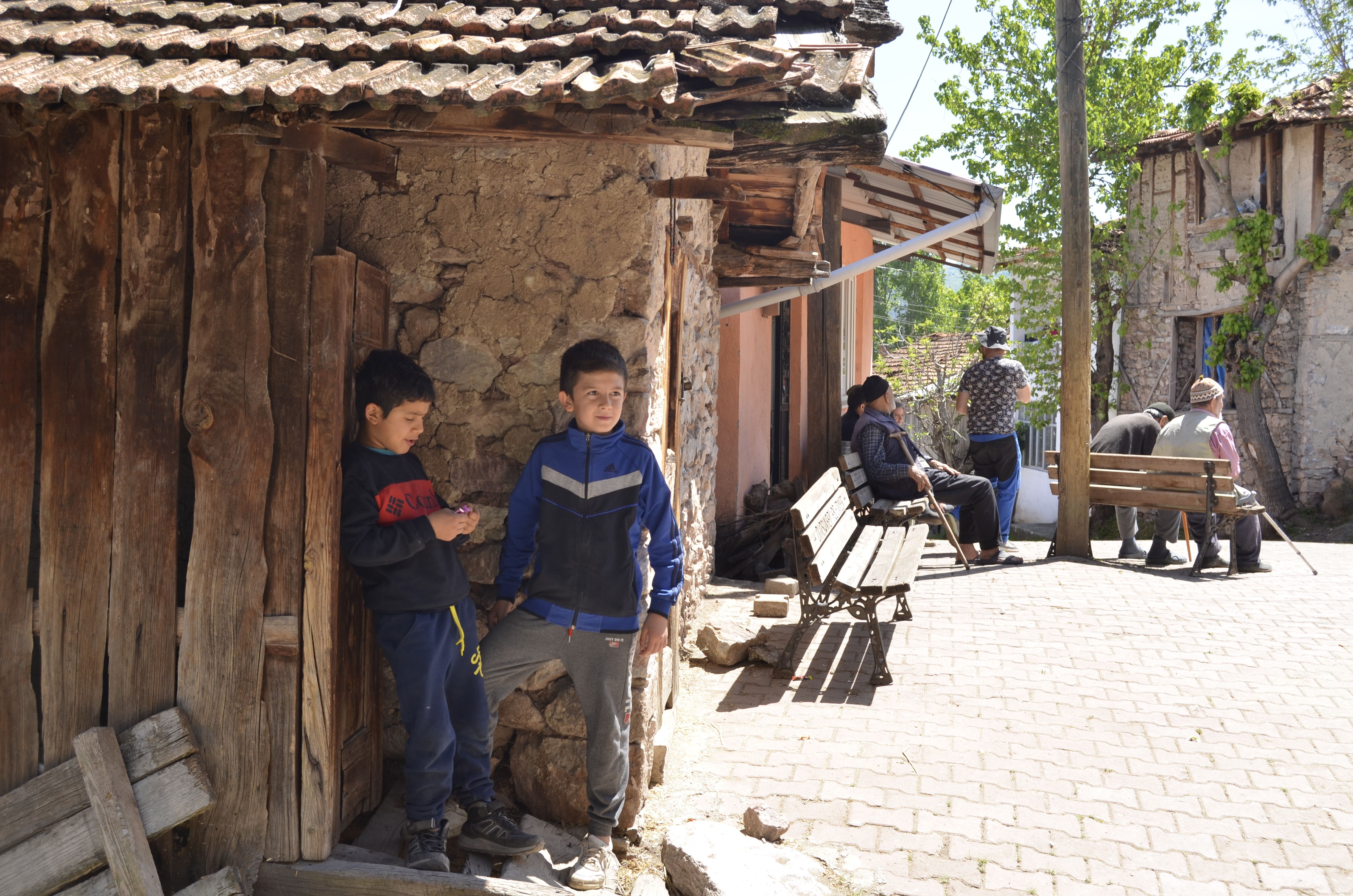 Traveller family's fight for home continues with fresh bid to live in Norfolk village — Photo by İrem Çevik on Pexels