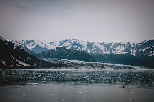 açık hava, Alaska, alaska manzarası içeren Ücretsiz stok fotoğraf