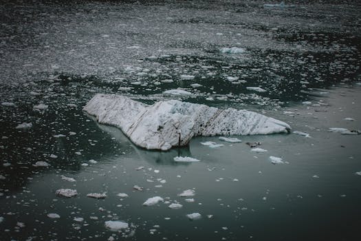A serene view of an iceberg floating in cold waters, surrounded by smaller ice pieces.