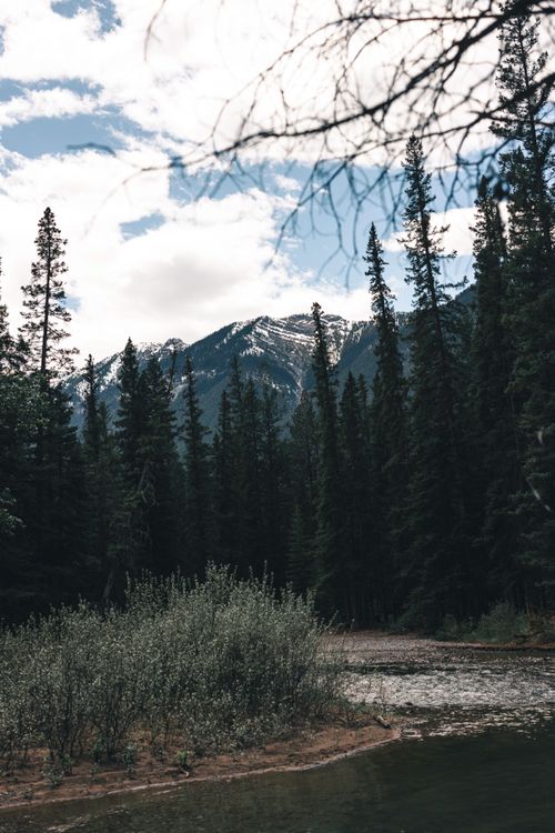Free Captivating view of Banff's mountains and evergreen forest under a cloudy sky. Stock Photo