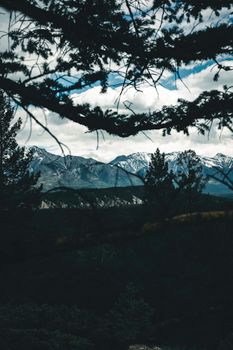 A breathtaking view of snow-capped mountains framed by evergreen trees in Banff National Park, Alberta, Canada.