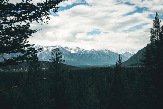 Snow-capped mountains and evergreen forests in Banff National Park, Canada.