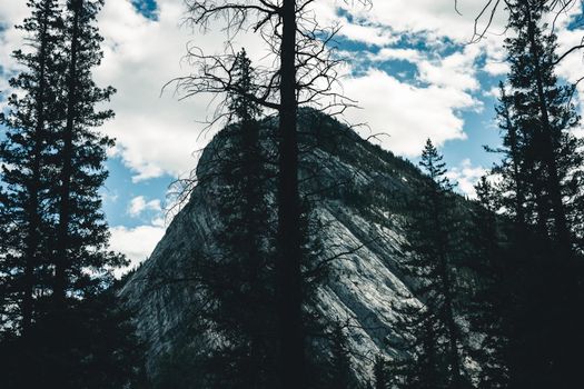 Majestic mountain peak through trees in Banff National Park, Alberta, Canada.