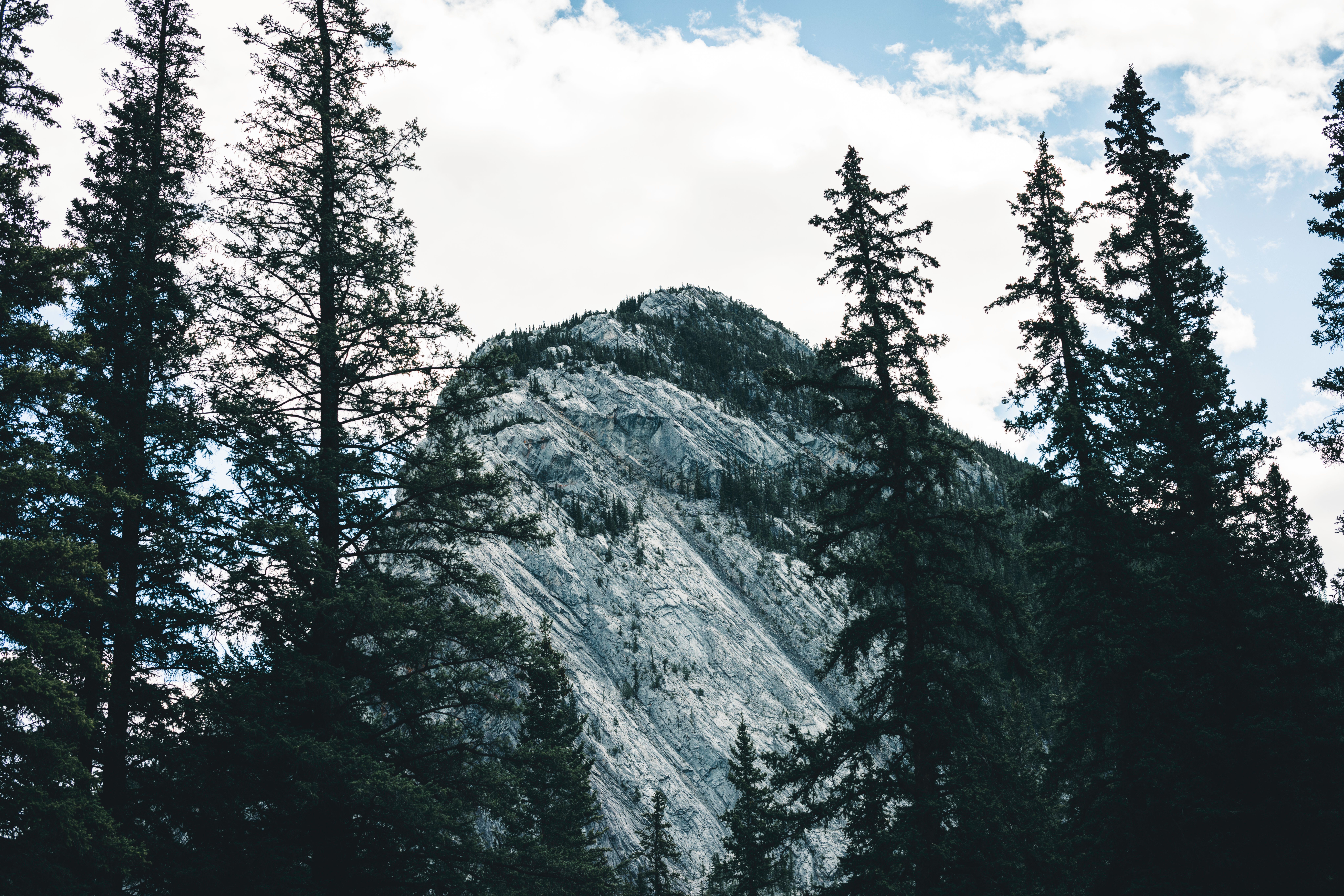 Scenic view of rocky peaks surrounded by evergreen trees in Banff National Park.