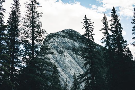 Scenic view of rocky peaks surrounded by evergreen trees in Banff National Park.