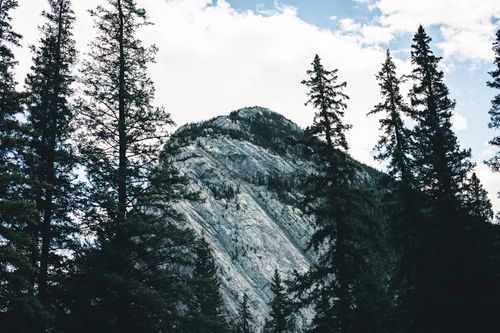 Free Scenic view of rocky peaks surrounded by evergreen trees in Banff National Park. Stock Photo