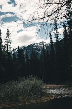 Stunning view of snow-capped mountains and forest in Banff, Canada.