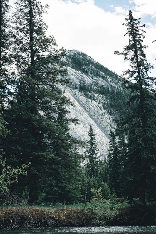 Free Picturesque view of a mountain surrounded by lush trees in Banff, Canada. Stock Photo