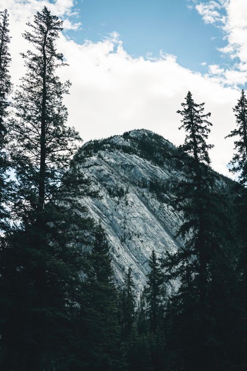Free Explore the towering conifers framing a scenic mountain in Banff National Park, Alberta, Canada. Stock Photo