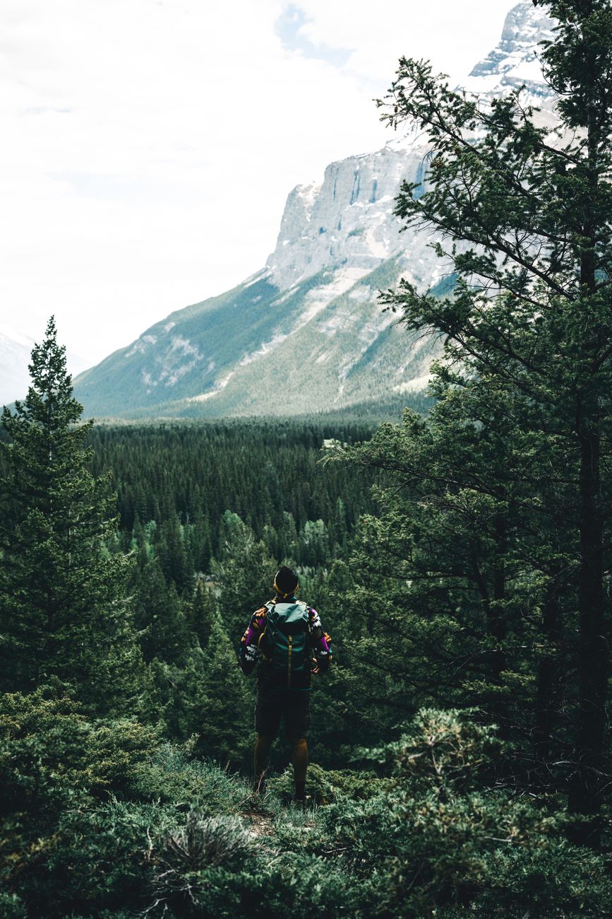 A solo hiker stands in Banff National Park, Canada, admiring the mountainous landscape and lush forests.
