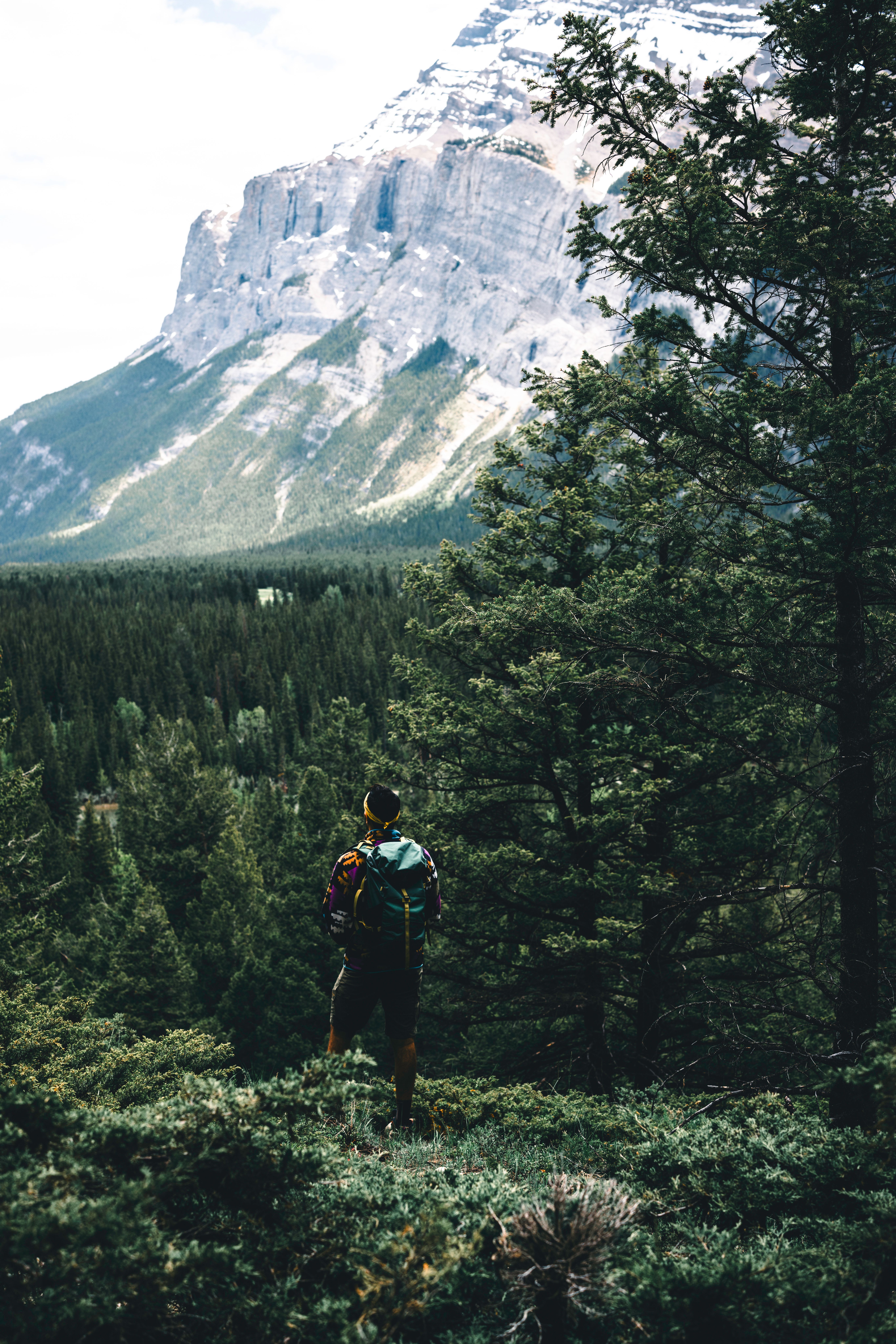 Back View of a Person Standing in the Bushes with View of the Mountains ...