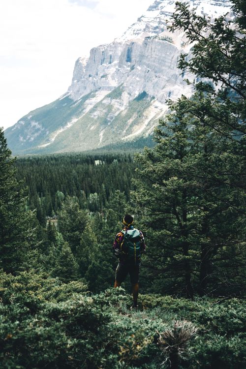 Free A lone hiker enjoys a breathtaking view of a lush forest and towering mountains in Banff, Canada. Stock Photo