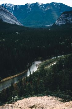 Stunning view of a river flowing through a dense forest, surrounded by mountains in Banff, Canada.