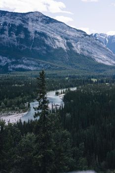 A breathtaking aerial view of the lush forests and meandering river in Banff National Park, Alberta, Canada.