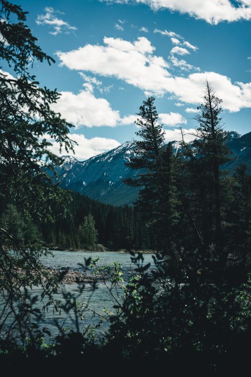 Free Breathtaking view of mountains, forest, and river in Banff National Park. Stock Photo