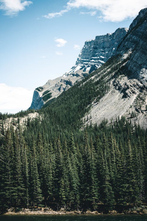 Banff Ulusal Parkı'Nda Kapüşonlulara Yürüyüş