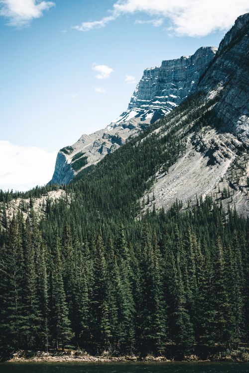 Free Scenic view of the Rocky Mountains and dense forest in Banff National Park, Alberta. Stock Photo