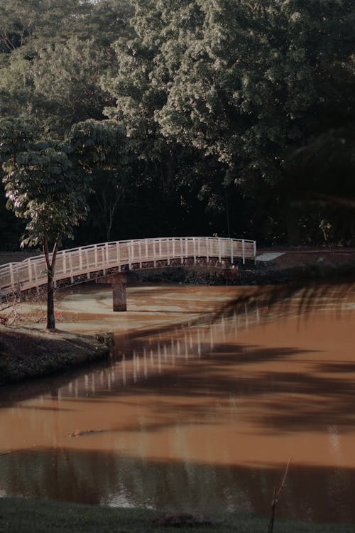 人行天橋, 光, 公園 的 免费素材图片