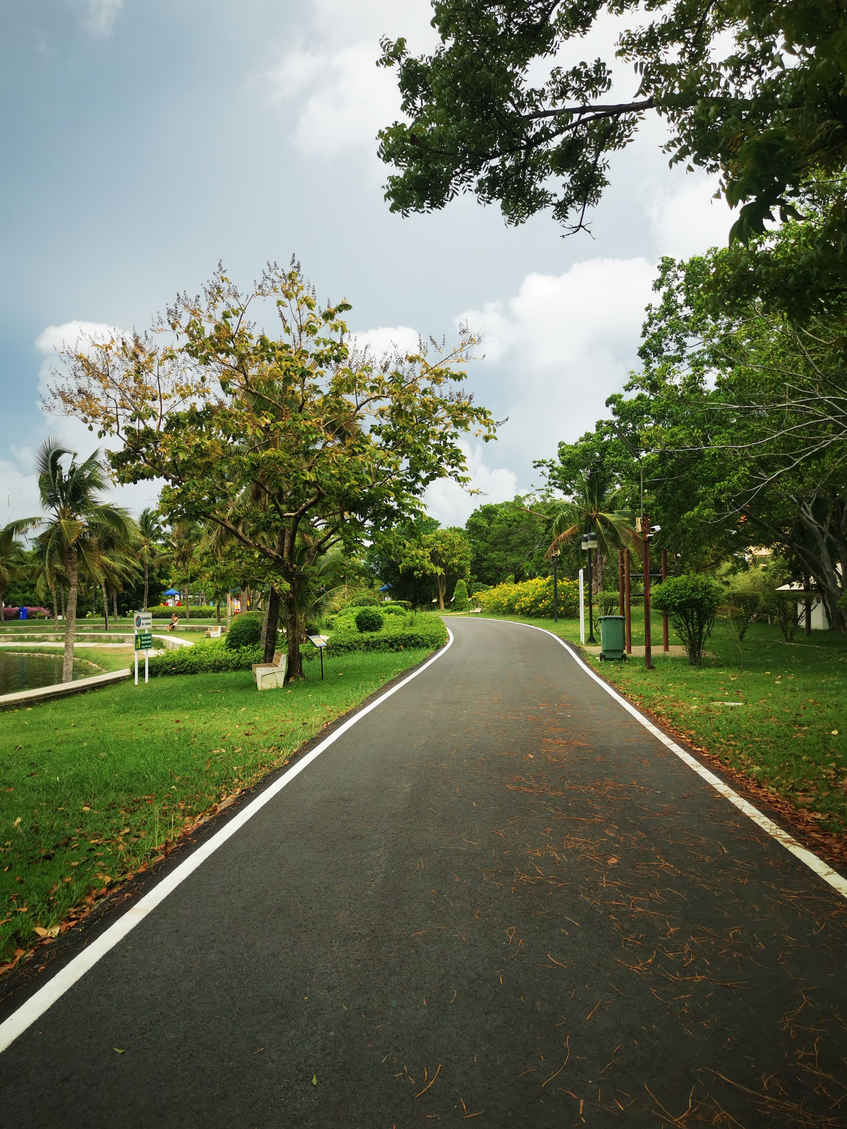 Free Serene park path surrounded by lush trees and greenery on a sunny day. Stock Photo
