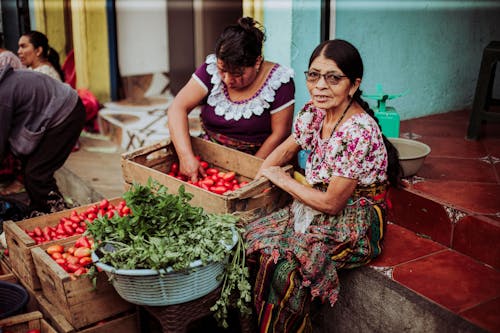 Foto d'estoc gratuïta de caixes, comercialitzar, comerciants