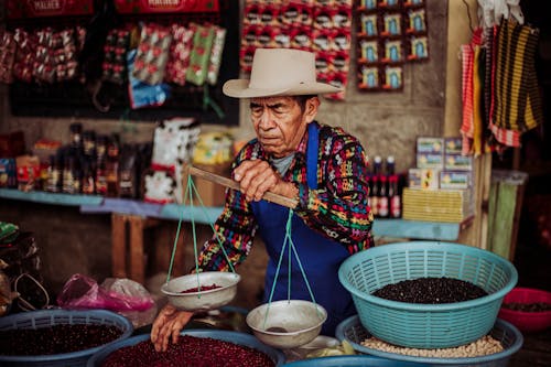 Foto d'estoc gratuïta de baies, comercialitzar, home