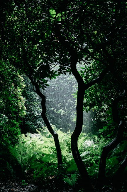 A vivid rainforest scene with rain falling on lush greenery, creating a tranquil atmosphere.