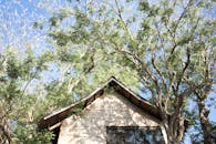 Low Angle View of House Near Green Trees