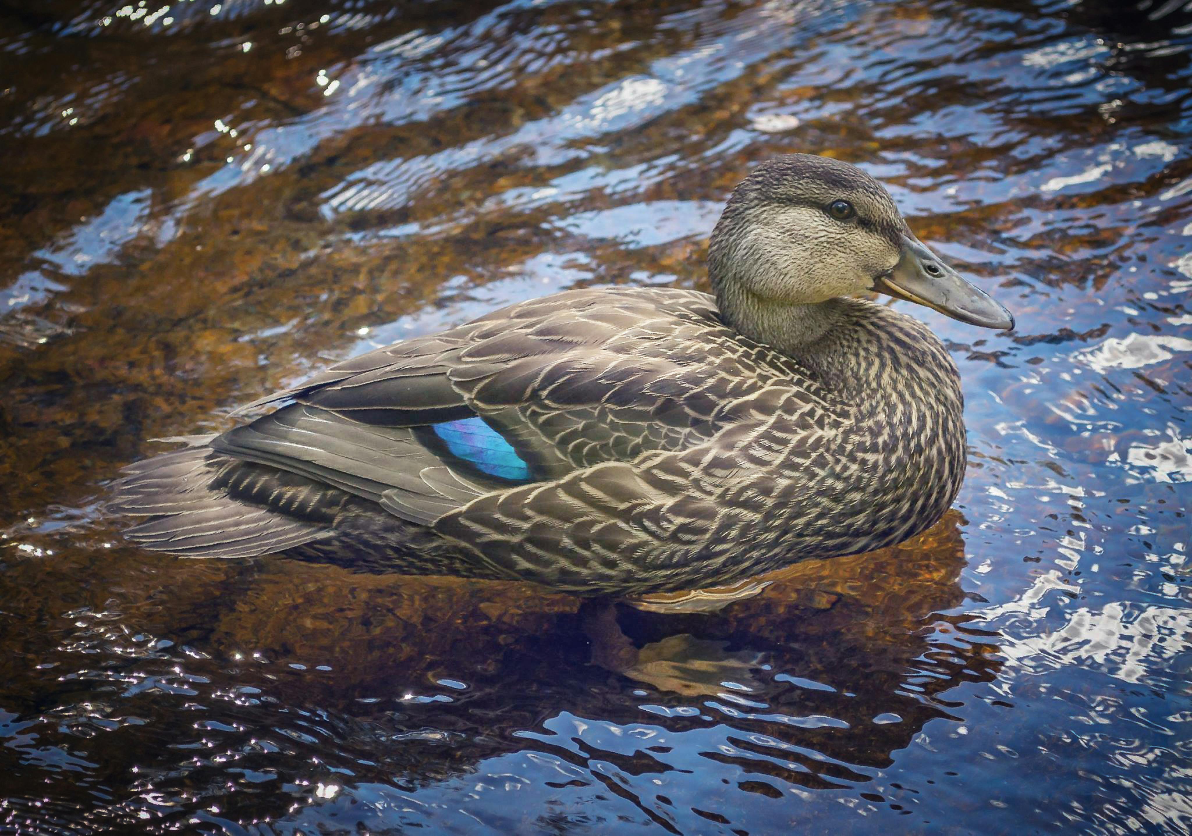 Alexandre Boucher Fotografie