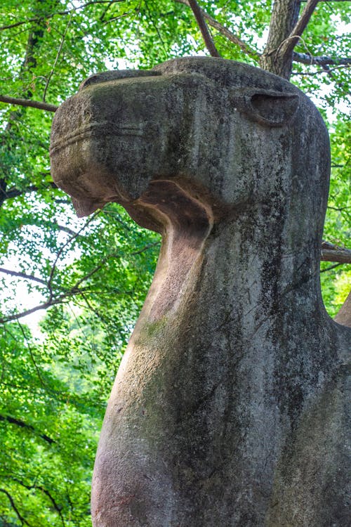 Imagine de stoc gratuită din cămilă, dimineață, piatra sculptata