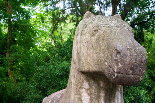 Imagine de stoc gratuită din adorabil, cal, piatra sculptata