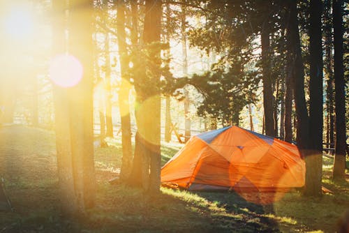 森の中のテントの写真