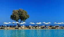 在蔚蓝的天空下，您可以在配有日光躺椅和遮阳伞的热带游泳池放松身心