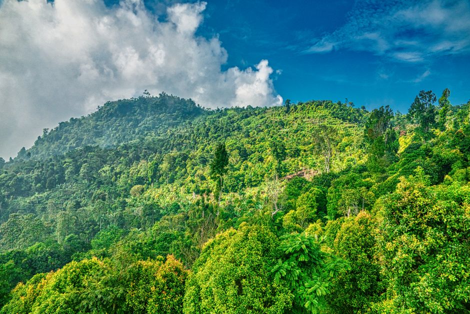 Menjelajahi Keindahan Tersembunyi Taman Nasional Gunung Leuser dari Pintu Masuk Kutacane
