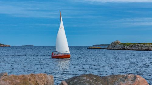 Free stock photo of sailboat Stock Photo